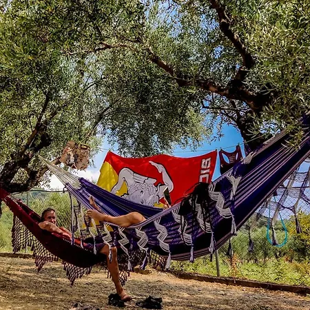 Yourspot Project - Shared - Private - West Peloponnese