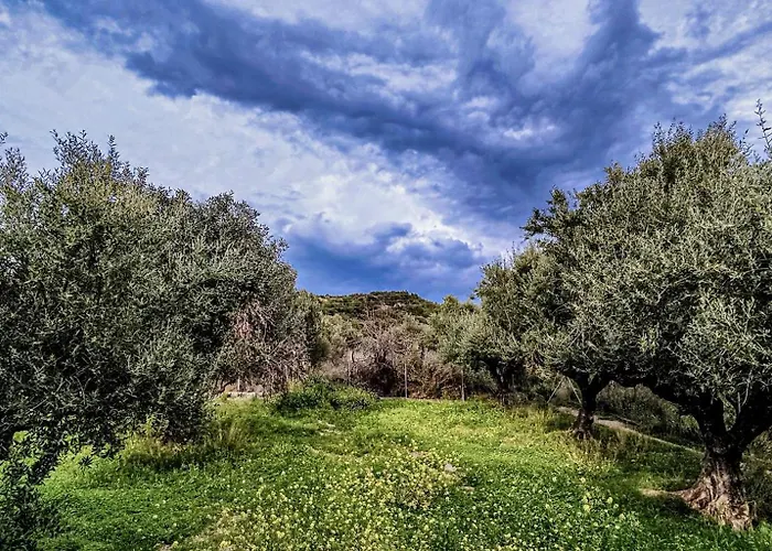 Yourspot Project - Shared - Private - West Peloponnese Privat bolig Zacharo