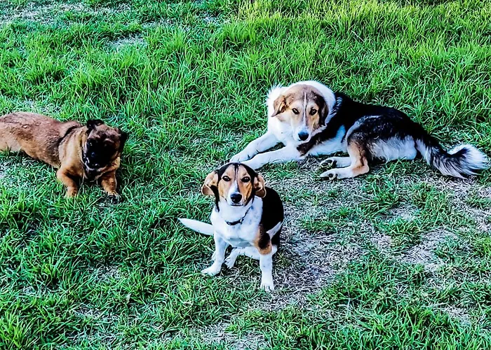 Yourspot Project - Shared - Private - West Peloponnese