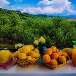 Yourspot Project - Shared - Private - West Peloponnese Ubytování v soukromí Zacharo