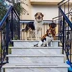 Yourspot Project - Shared - Private - West Peloponnese Zacharo