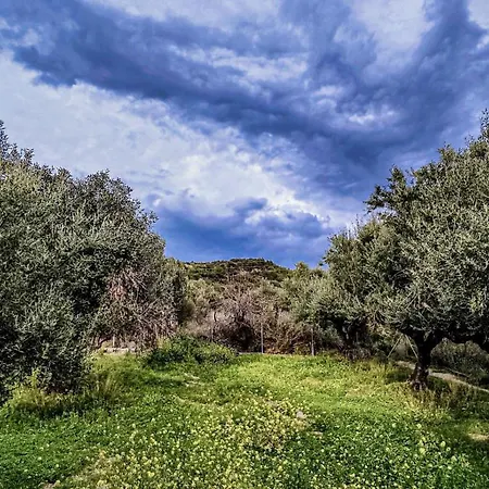 Yourspot Project - Shared - Private - West Peloponnese Privatunterkunft Zacharo
