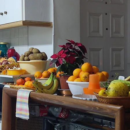 Yourspot Project - Shared - Private - West Peloponnese Privatunterkunft Zacharo