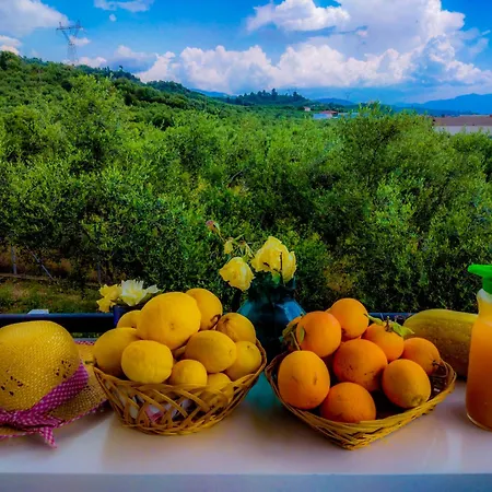 Yourspot Project - Shared - Private - West Peloponnese Privatunterkunft Zacharo
