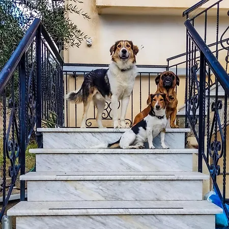 Yourspot Project - Shared - Private - West Peloponnese Zacharo