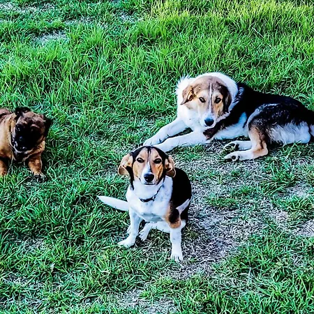 Yourspot Project - Shared - Private - West Peloponnese