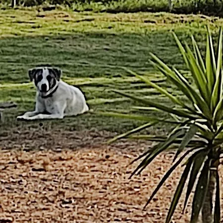 Yourspot Project - Shared - Private - West Peloponnese Zacharo