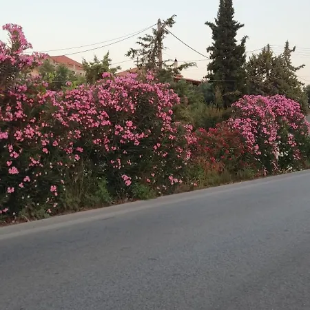 Yourspot Project - Shared - Private - West Peloponnese 홈스테이 *