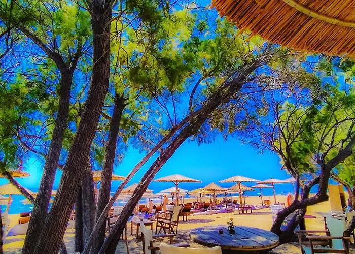 Yourspot Project - Shared - Private - West Peloponnese Privatunterkunft Zacharo