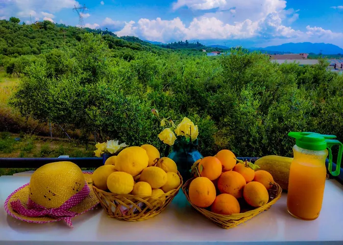 Yourspot Project - Shared - Private - West Peloponnese Rum i privatbostad Zacharo