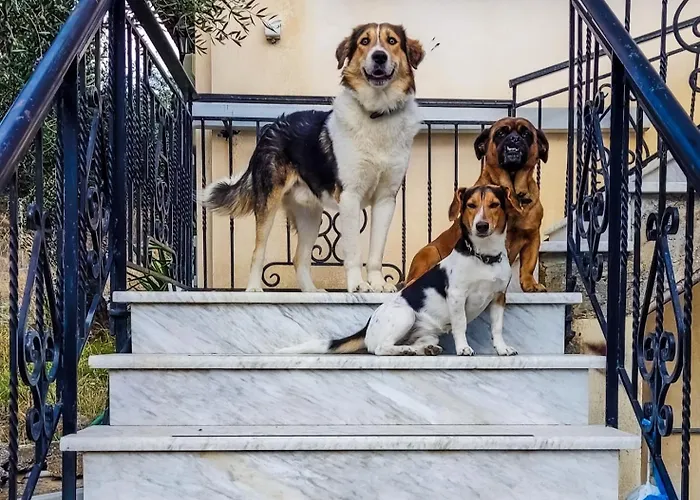 Yourspot Project - Shared - Private - West Peloponnese 扎哈罗