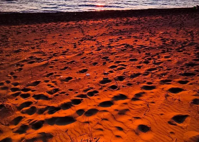 Yourspot Project - Shared - Private - West Peloponnese Rum i privatbostad