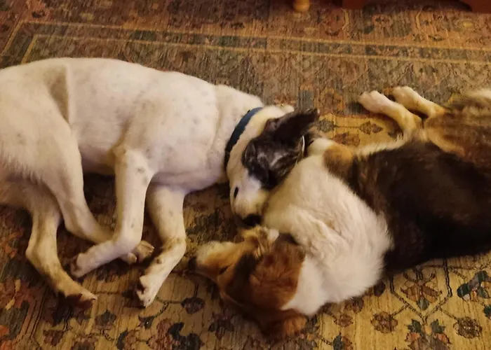 Privatunterkunft Yourspot Project - Shared - Private - West Peloponnese *