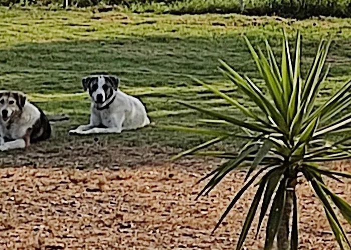 Yourspot Project - Shared - Private - West Peloponnese 扎哈罗