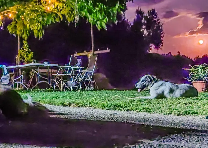 Yourspot Project - Shared - Private - West Peloponnese Zacharo