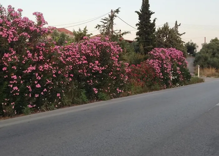 Yourspot Project - Shared - Private - West Peloponnese Rum i privatbostad *